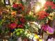 Продажа цветочного бизнеса - в магазин в частной собственности